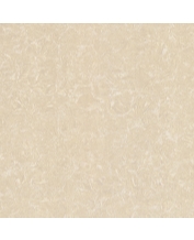 Granite Floor Tile TS2-612